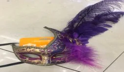 Deluxe Feathered Mask wholesale product – Party Masks, SKU DB-277