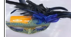 Deluxe Feathered Mask wholesale product – Party Masks, SKU DB-279