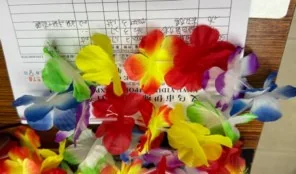 Hawaiian Lei Necklace wholesale product – Costume & Party Accessories, SKU SO-176
