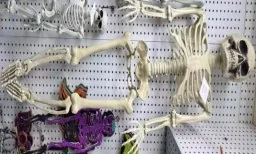 160 cm Skeleton wholesale product – Skeleton & Skull Decorations, SKU DB-139