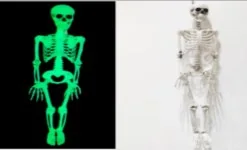90 cm Glow-In-The-Dark Skeleton wholesale product – Skeleton & Skull Decorations, SKU DB-138