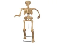 160 cm Animated Plug-In Skeleton wholesale product – Skeleton & Skull Decorations, SKU DB-189