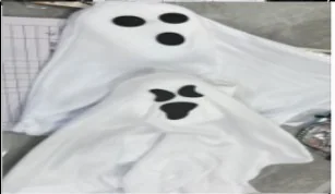 Light-Up Ghost wholesale product – Witch & Ghost Decorations, SKU PP-702