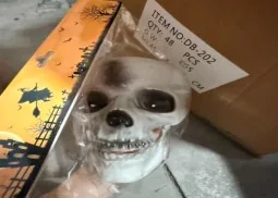 Light-Up Skull wholesale product – Skeleton & Skull Decorations, SKU DB-202