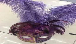 Deluxe Feathered Mask wholesale product – Party Masks, SKU DB-281