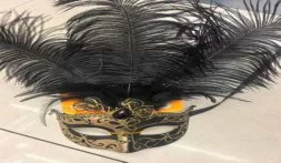 Deluxe Feathered Mask wholesale product – Party Masks, SKU DB-282